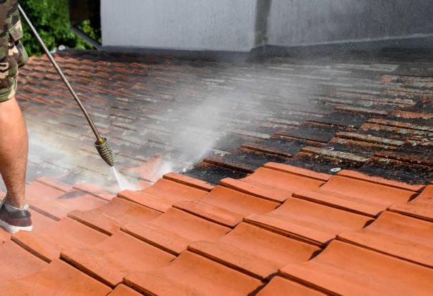 Best Exterior Home Cleaning  in Kingston, IL