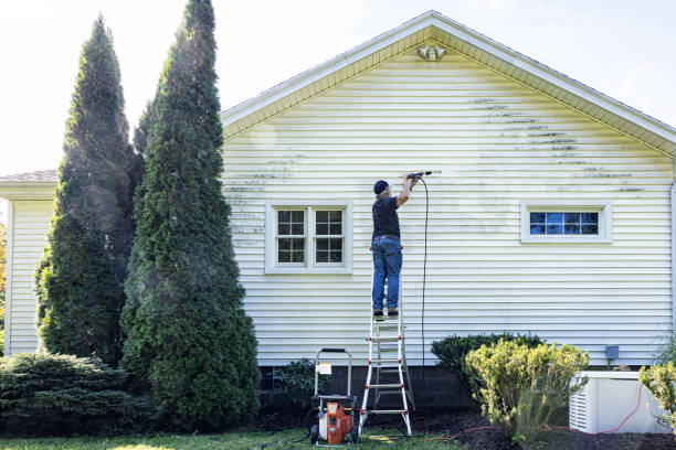 Best Power Washing Near Me  in Kingston, IL