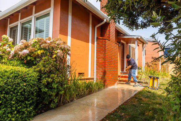 Best Power Washing Near Me  in Kingston, IL