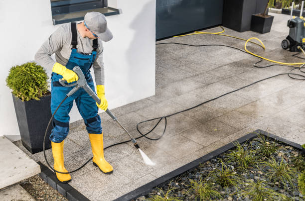 Best House Pressure Washing  in Kingston, IL
